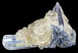 Vibrant Blue Kyanite Crystal In Quartz - Brazil #56930-1